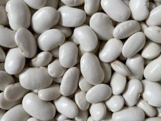 I have JAŚ BEANS for sale in sizes 85-90