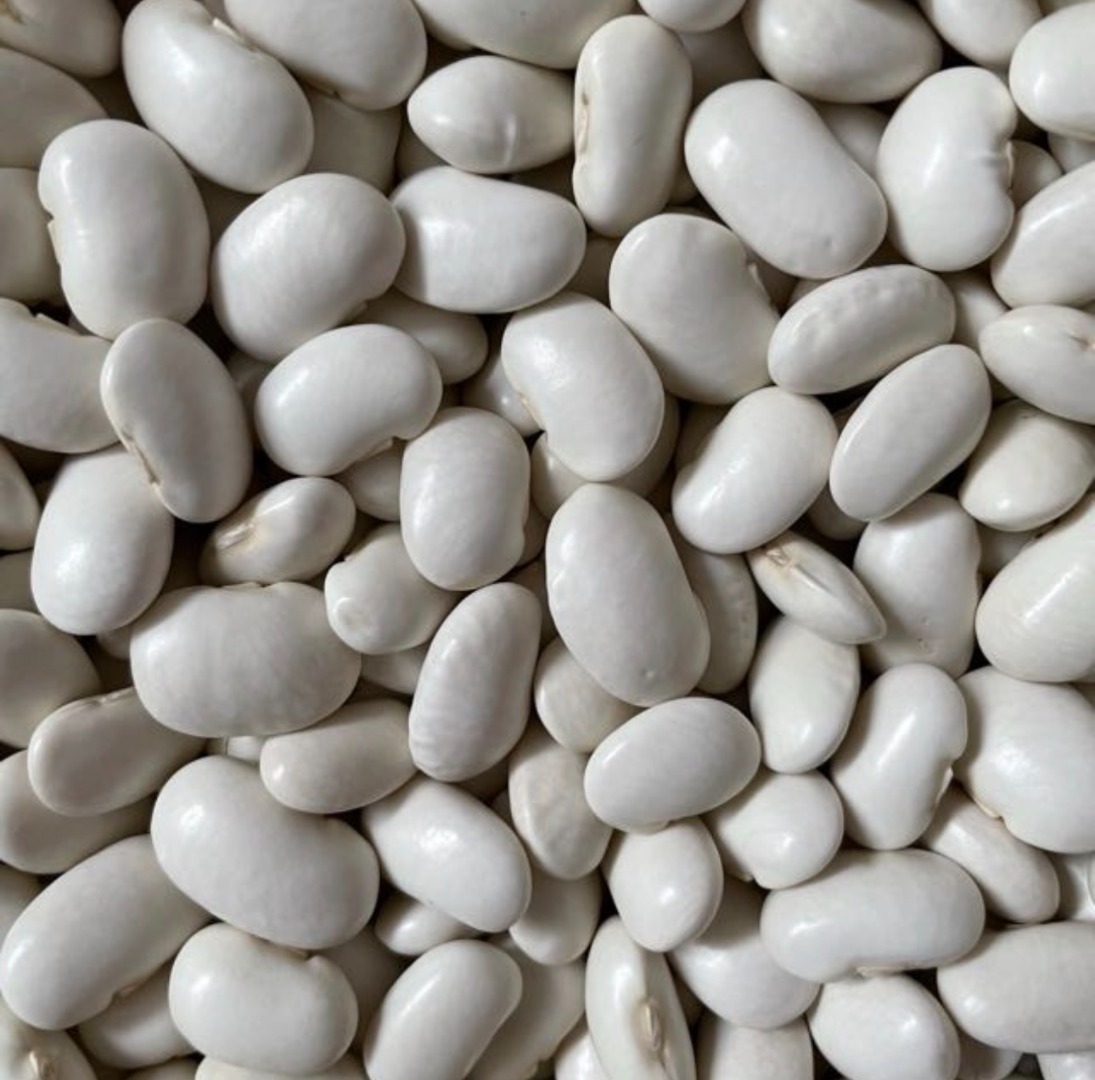 I have JAŚ BEANS for sale in sizes 85-90 and 100-120