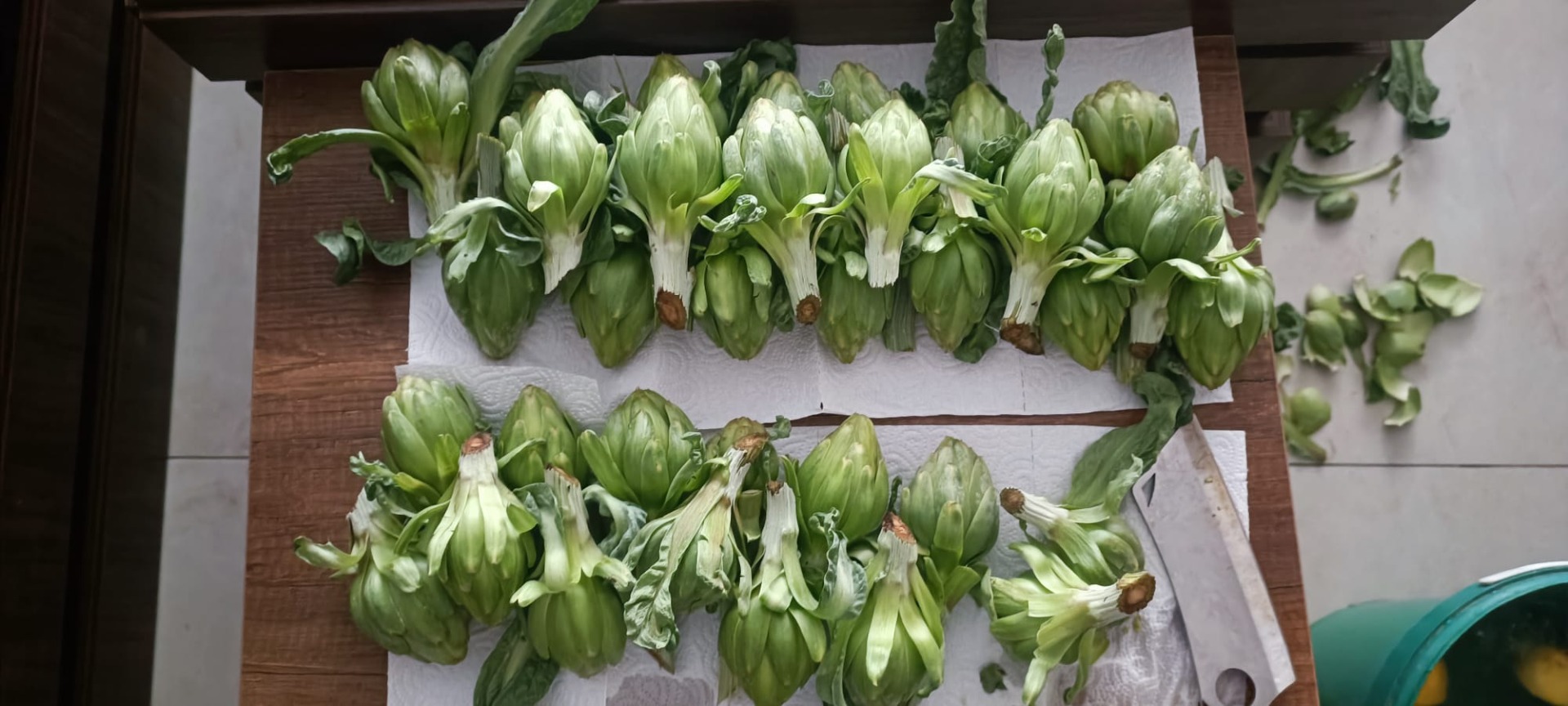 Baby artichokes are fresh and ready to harvest