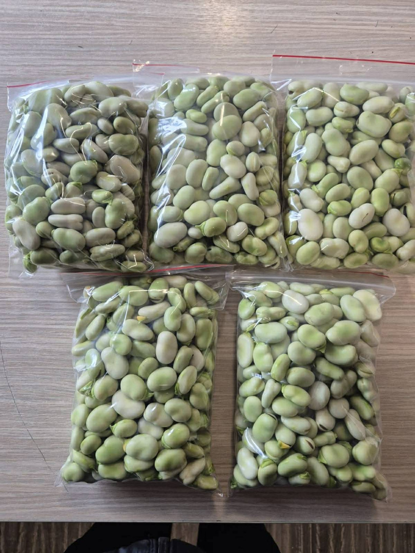 Fresh broad beans – retail and wholesale in large quantities! We offer fresh broad beans