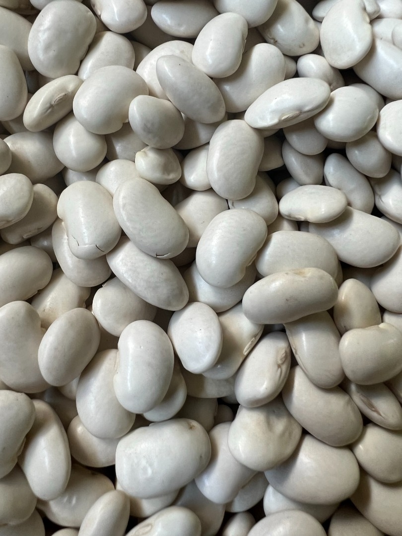 Jaś Karłowy beans harvest September 2025, not dried - dry, ideal for seed, possibility of sending larger quantities