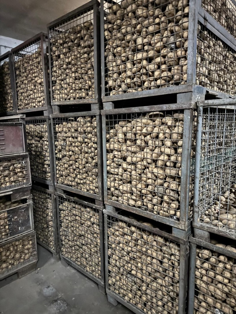 Hello, I have edible potatoes for sale: - variety: Lord, Denar, Impresja; - bag: 15 kg; - caliber from 4 cm; More information by