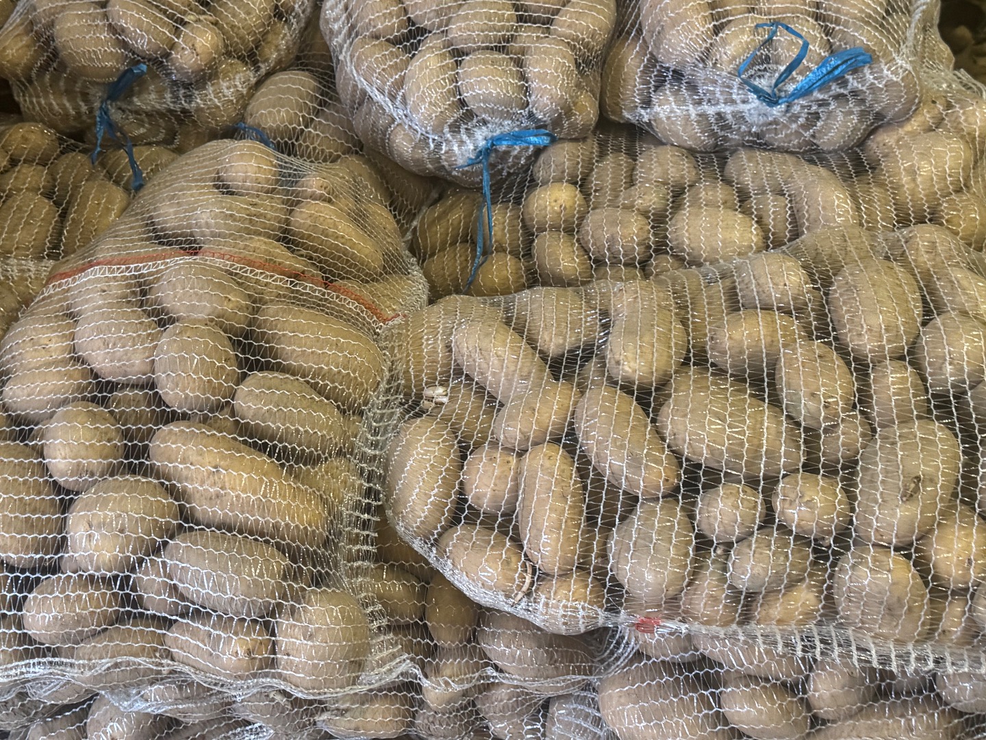 CATANIA potato, smooth skin, pure earth, undamaged, firm, 55+ caliber