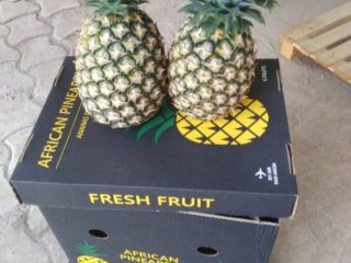 Ananas frais du Bénin, variétés Pain de Sucre et