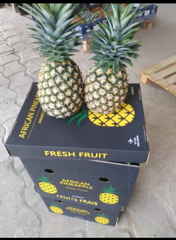 Ananas frais du Bénin, variétés Pain de Sucre et Cayenne Lisse (MD2)