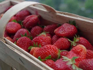 STRAWBERRY PURCHASE – WE INVITE YOU TO COOPERATE! We