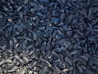 Sunflower seeds Black, fine, cleaned, packed in 20 kg