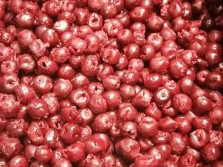 IQF Pitted Sour Cherries of the Oblacinska variety are