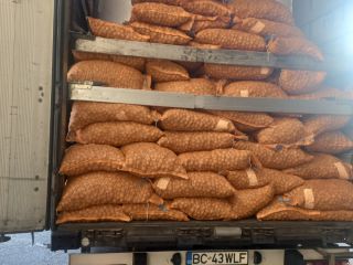 Hello, We permanently offer walnut kernels, assorted sauces, walnuts
