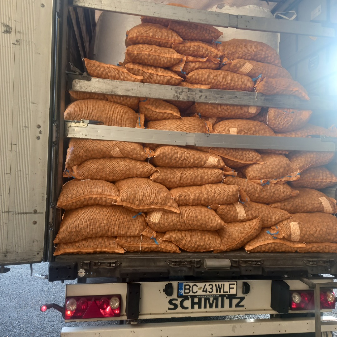Hello, We permanently offer walnut kernels, assorted sauces, walnuts in shell Chandler, Franquette, Fernor, pumpkin seeds, prunes, plums stuffed with walnut