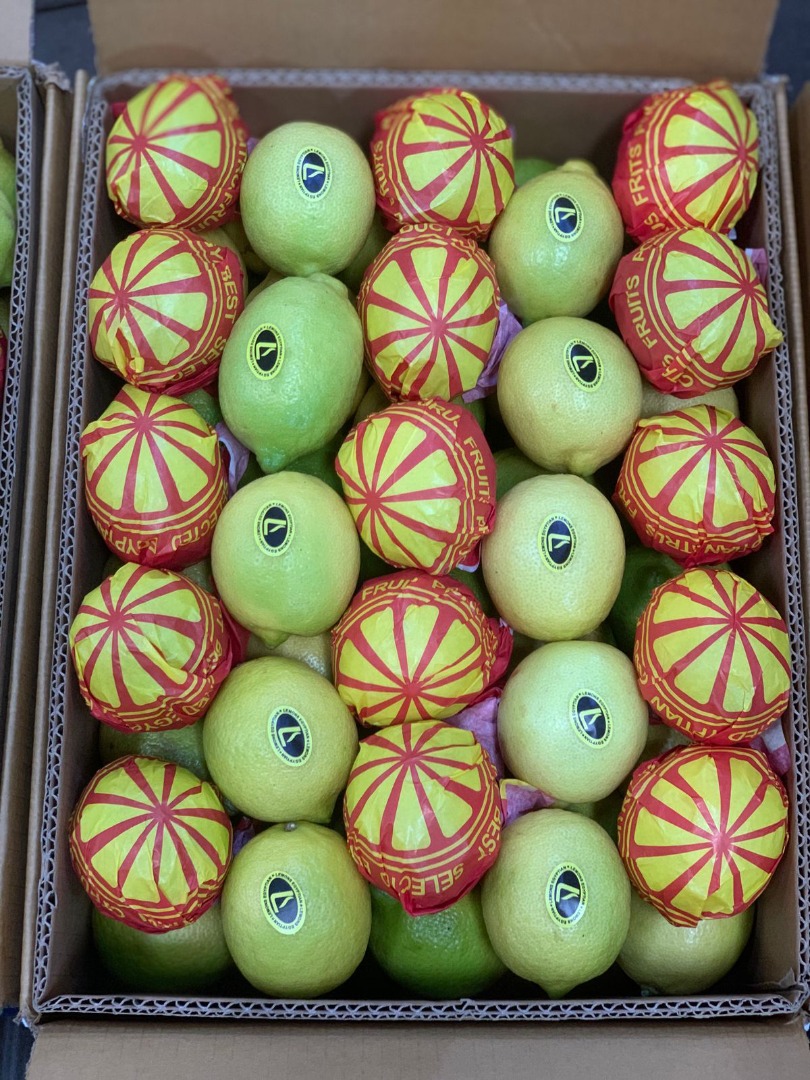 We are pleased to offer fresh Egyptian lemons (Key Lime) of premium quality, carefully selected to meet international export standards