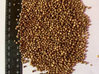 In stock 12t Purity 98% Real quality in the