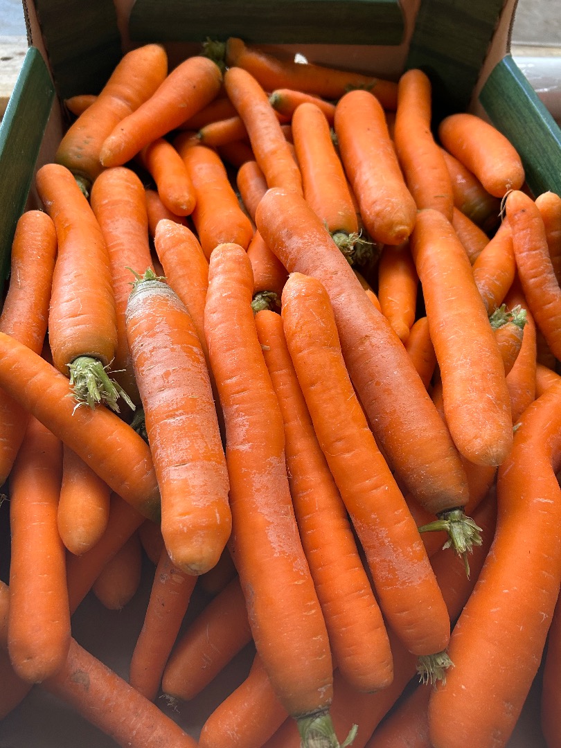 I'm looking to establish partnerships with importers or producers of carrots and onions