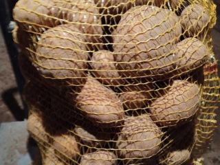 I will sell VINETA yellow edible potatoes, caliber 45+