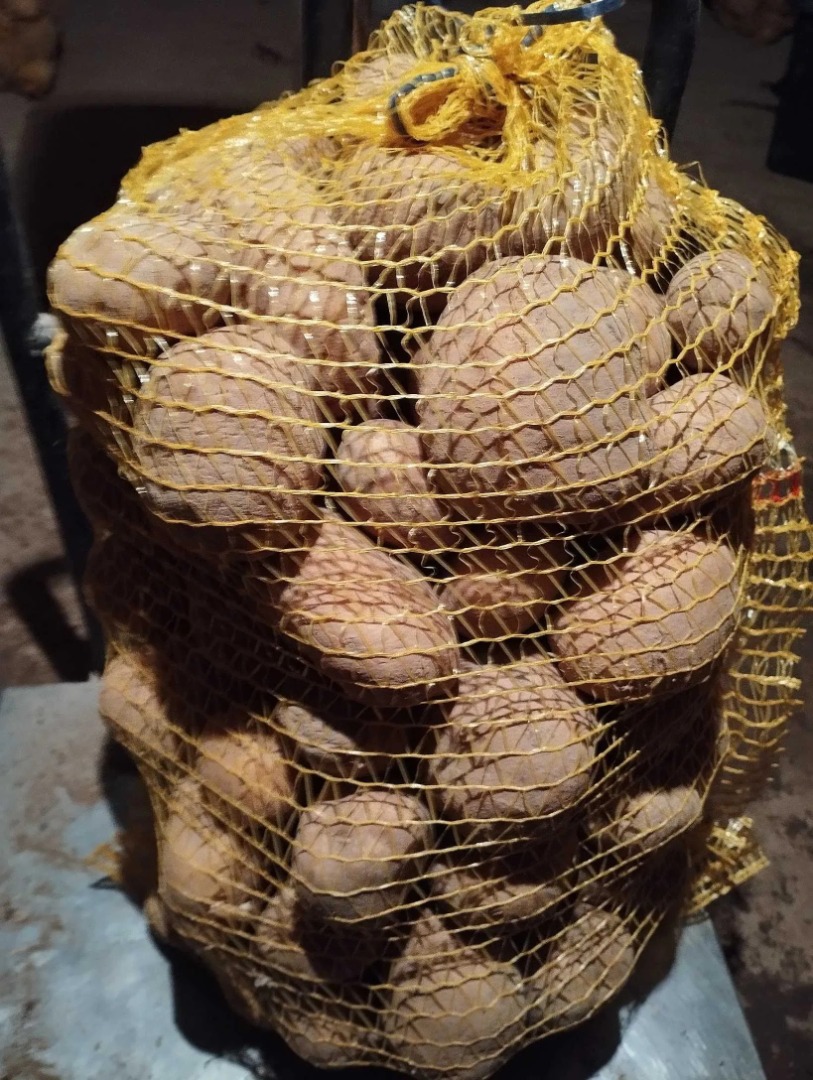 I will sell VINETA yellow edible potatoes, caliber 45+ mm, in 15 kg bags, price negotiable