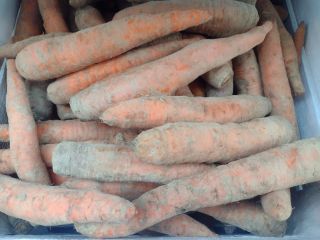 Organic Polish carrots. Certified organic farm. First-class. Firm, sweet.