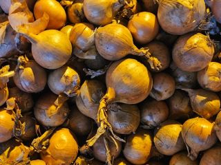 I'm selling onions. For more information, call [phone number]