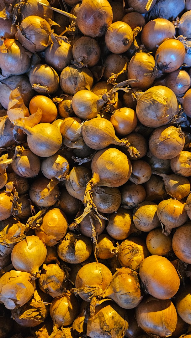 I'm selling onions