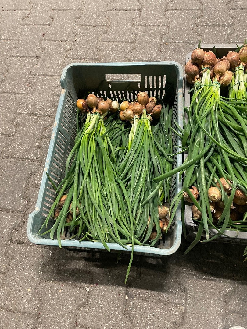 I am selling chives in bunches