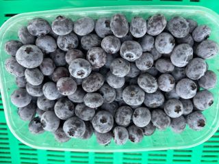 I'm selling frozen blueberries. The product is intact and