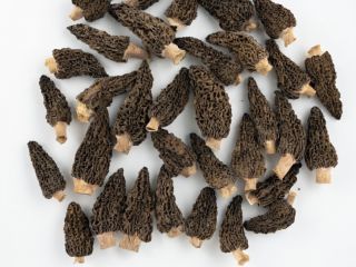 Organiczne suszone smardze - opakowanie 100 g - 49,99
