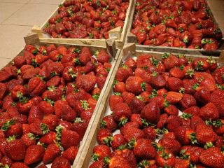 Hello, I would be interested in regular strawberry delivery.
