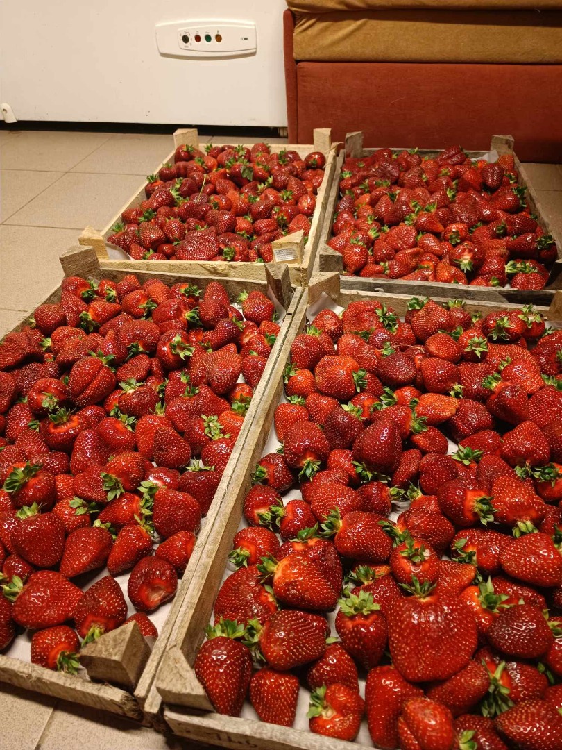 Hello, I would be interested in regular strawberry delivery