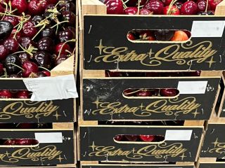 Sweet cherry in offer! More varieties with packing per