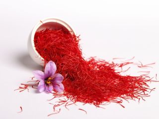 Our holding has been cultivating saffron since 2017 in