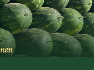 We are an experienced exporter of fresh watermelons from