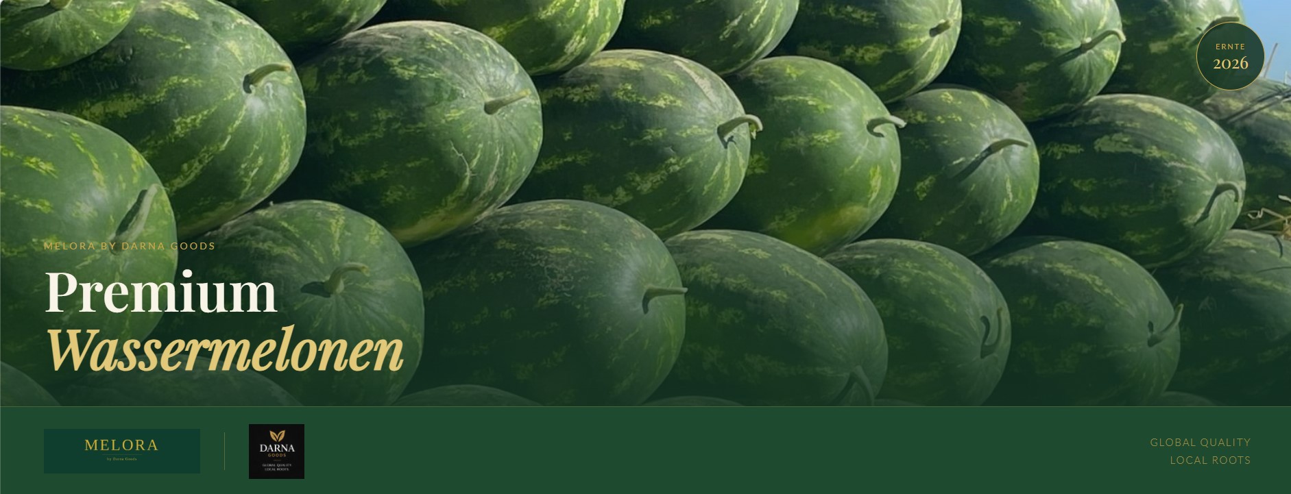 We are an experienced exporter of fresh watermelons from Morocco and own farmland in several of the country's most renowned agricultural regions, including