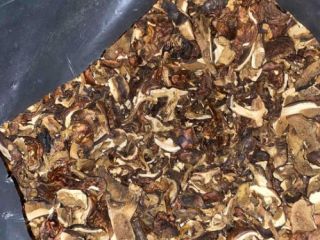 Sale of large quantities of dried mushrooms - bay