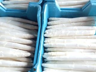 I produce white and green asparagus. Bulk quantities available