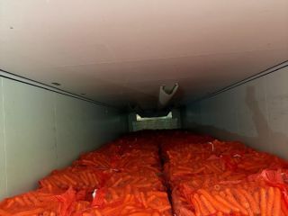Commercial carrots for sale. Caliber 2-4. Market quality. Large