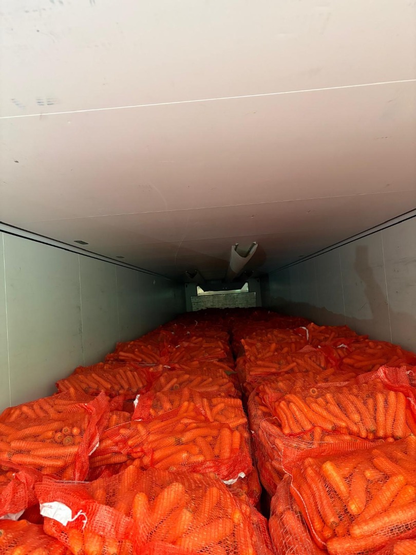 Commercial carrots for sale