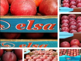 Fruit produced and packaged in Spain, with a global