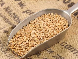 Better pricing available for quantities of 1,000 tons and