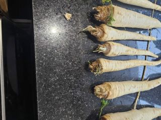 I will sell parsley 90gr/kg ex Zbytków, Silesia 25tons