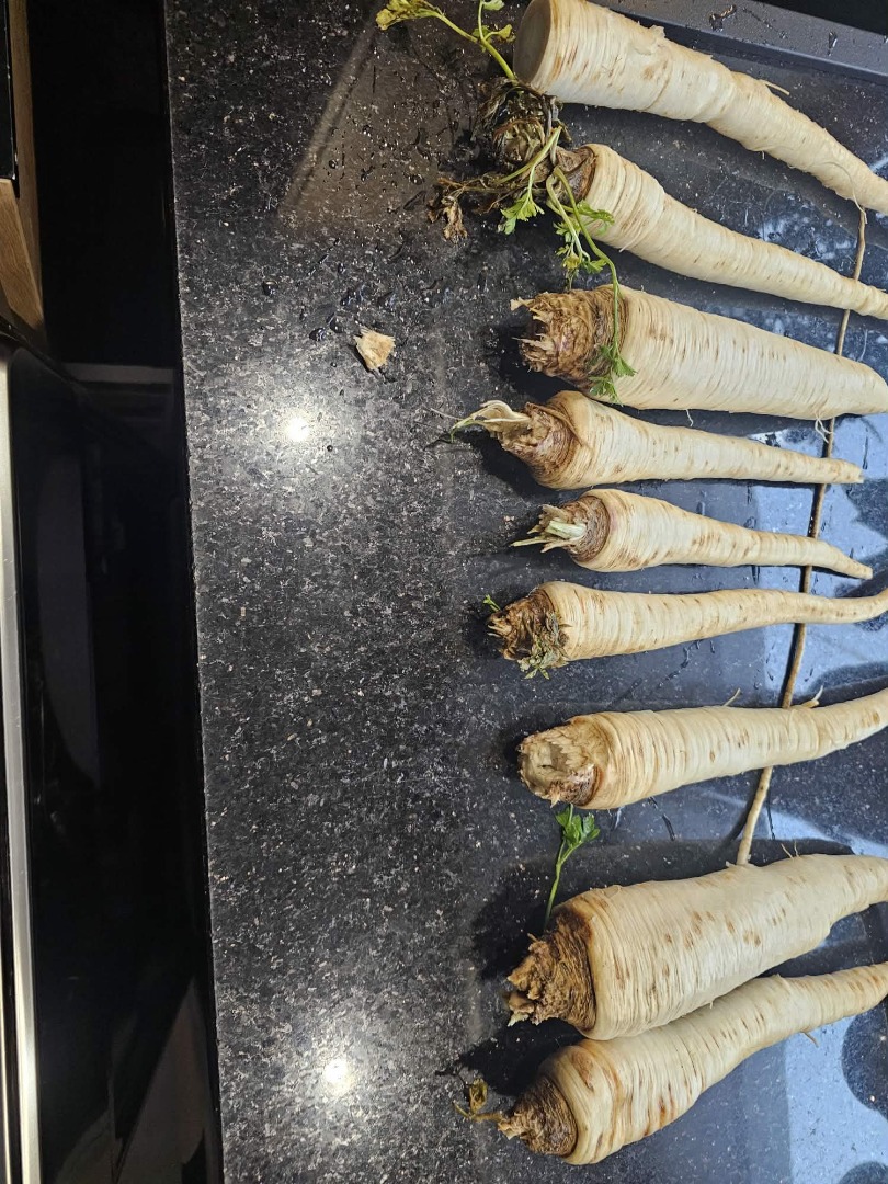 I will sell parsley 90gr/kg ex Zbytków, Silesia 25tons