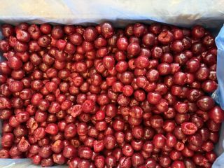 I am selling frozen pitted cherries, Class I, 1/10
