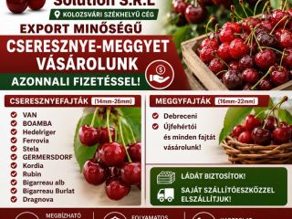 A company based in Cluj-Napoca is looking for large