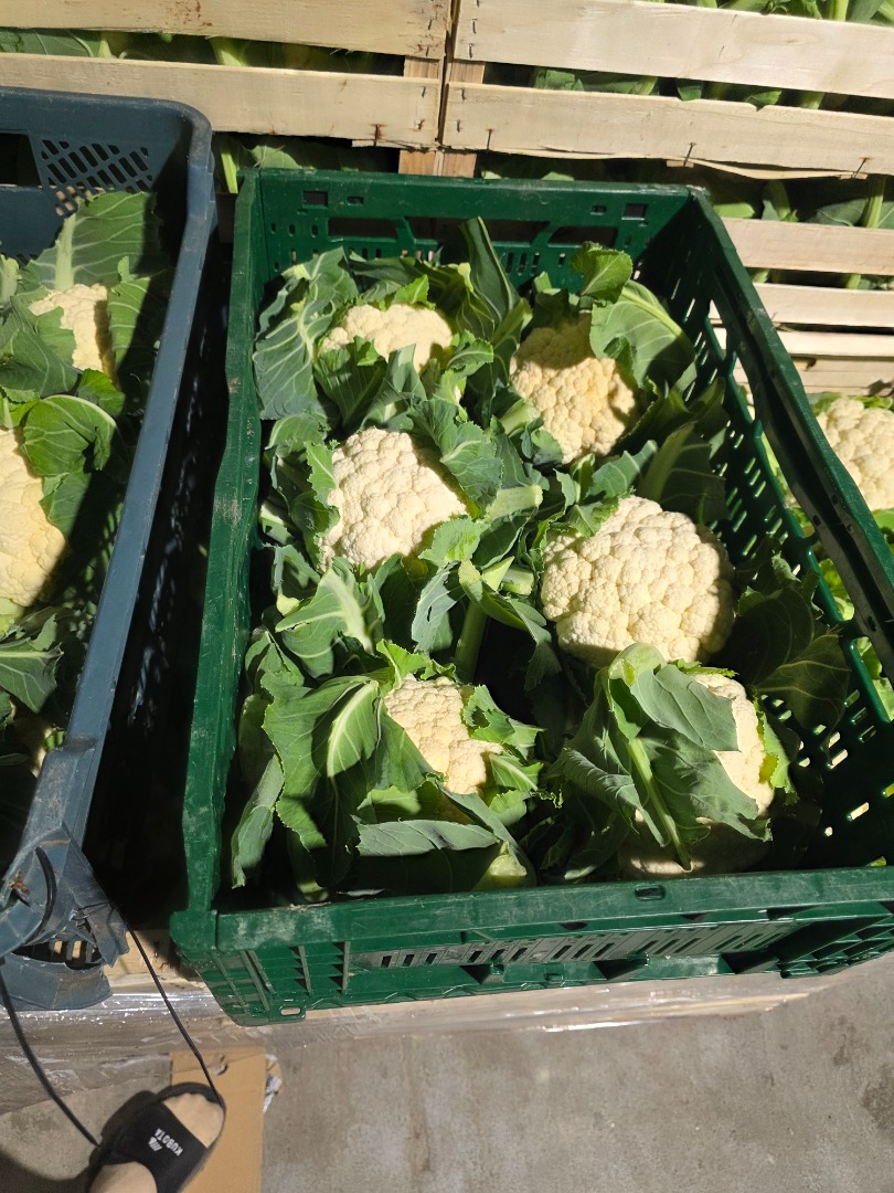 I have 6 cauliflowers for sale, still in their skins