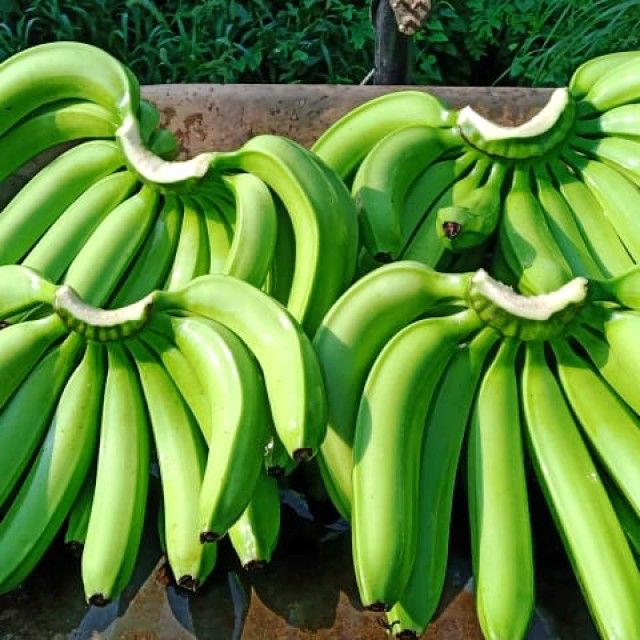 Cavendish Banana Grade: A & B Diameter: 3–4 cm Length: 17–24 cm Packing specification: 4/5/6 hands per carton Taste: Naturally sweet Packaging: 13 kg/carton