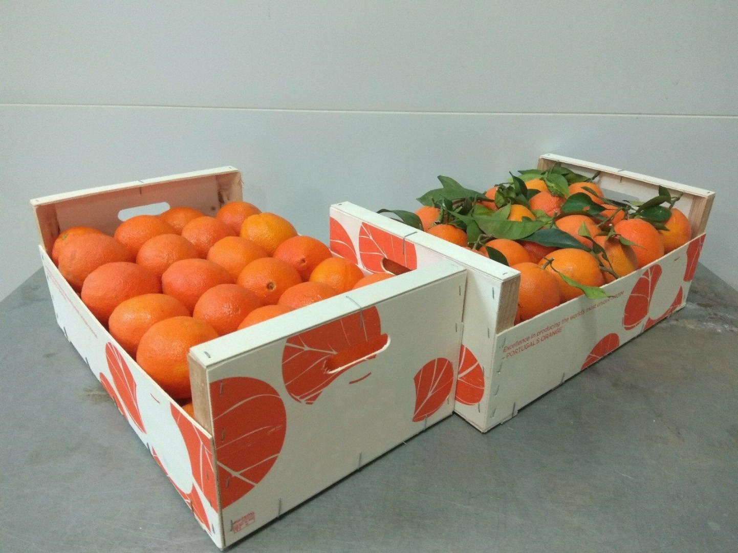 I will sell extra-class oranges, Portugal's country of origin, large quantities