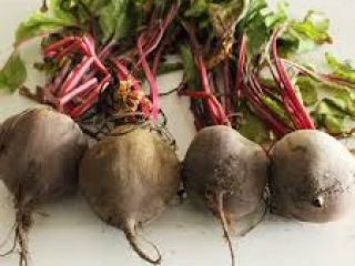 We sell fresh, high-quality beetroot carefully selected for its