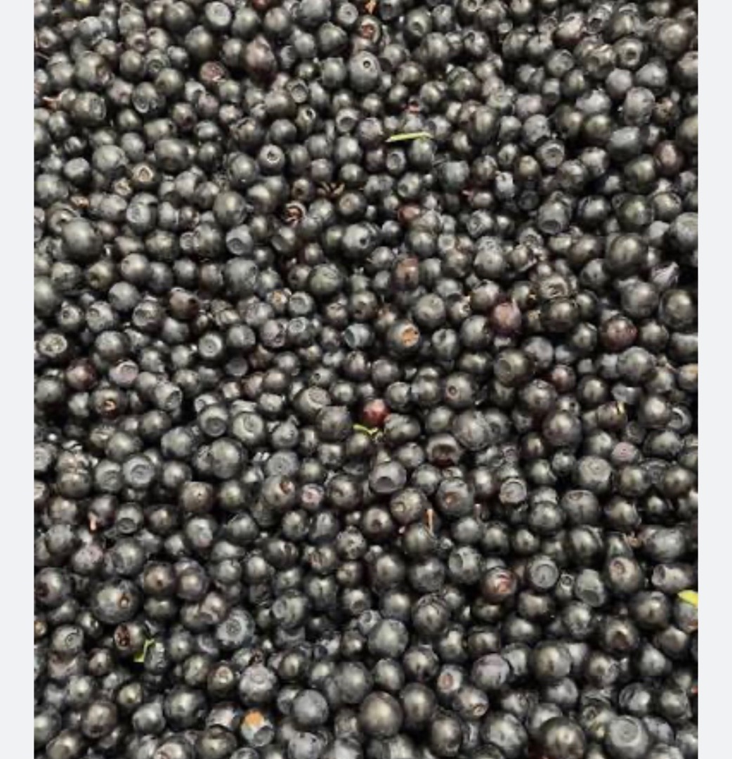 I'm selling wild blueberries in bulk