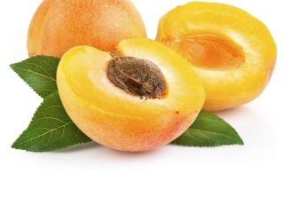 Armenian Apricot variety Shalah, large and very sweet