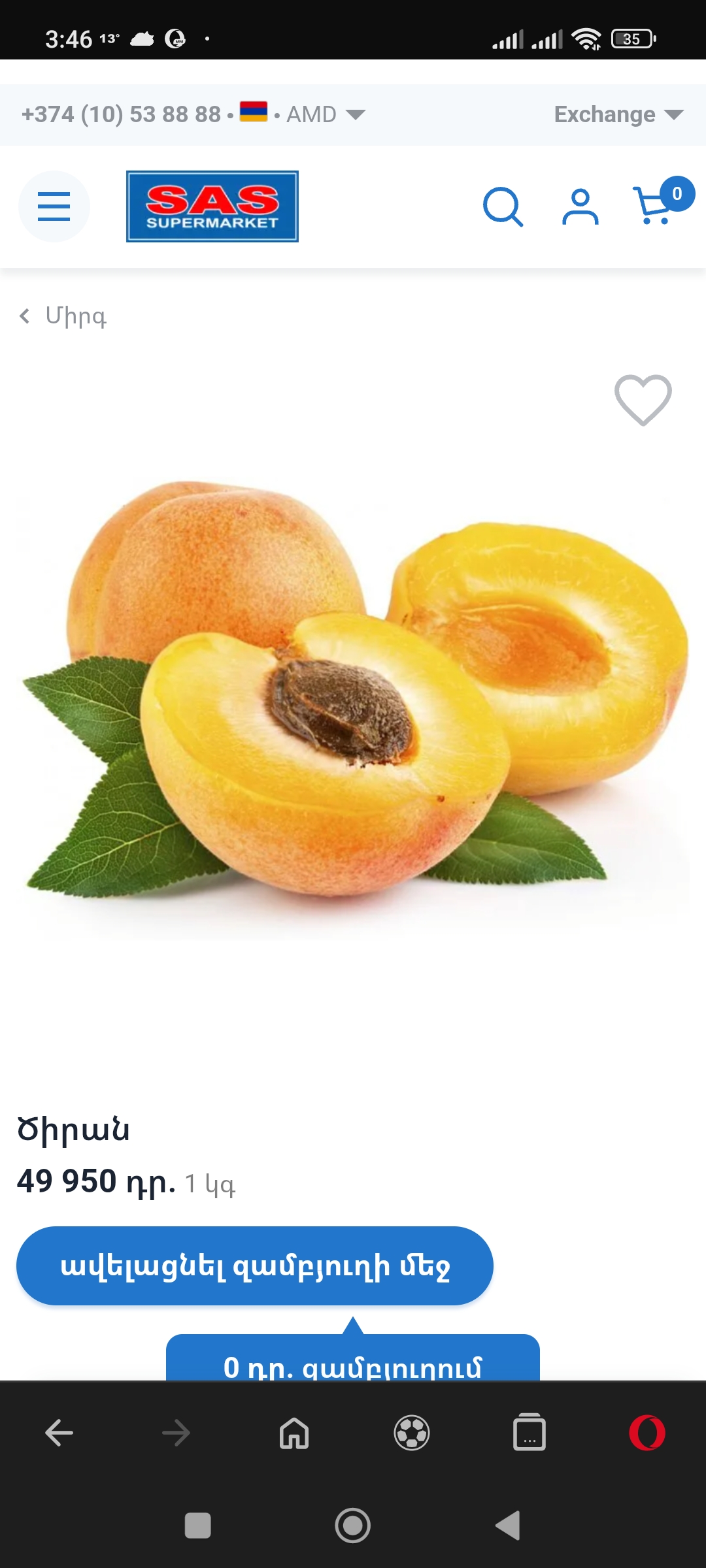 Armenian Apricot variety Shalah, large and very sweet