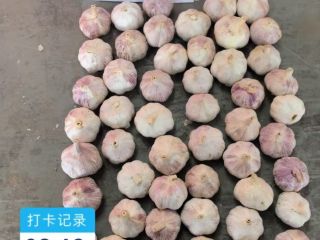 Hello everyone, we are garlic and ginger wholesalers from