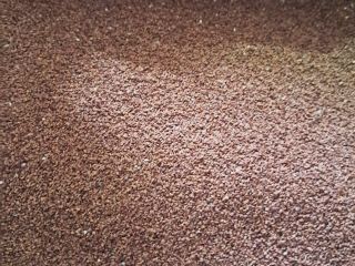 I offer Evening Primrose, cleaned, unsprayed, 11 tons.